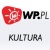 Kultura Wirtualna Polska